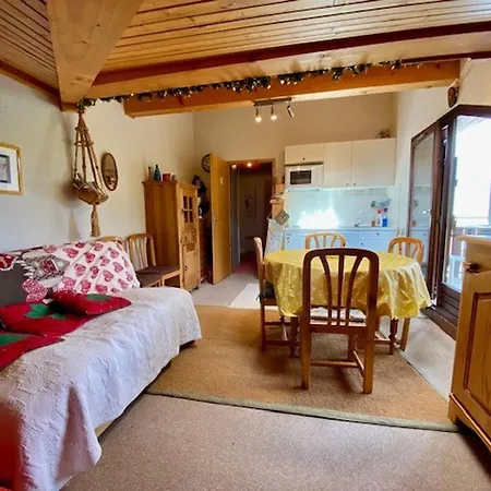 Duplex Simple Avec Parking A - Fr-1-459-33 Appartement La Clusaz